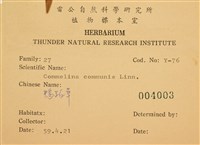 鴨跖草藏品圖，第2張